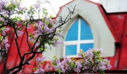 丁香五月国产,国产生态的生机盎然