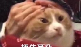 太粗太深了太紧太爽了国产,太粗太深太紧太爽，揭秘国产新高度