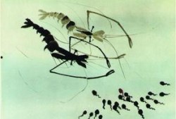 蝌蚪网国产,蝌蚪网引领绿色科技新潮流