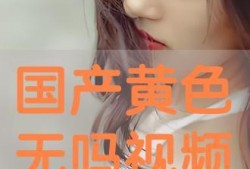 国产色情在线播放